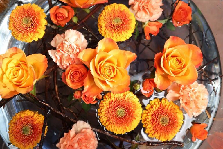 春のイベント「SPRING FESTIVAL」も開催中