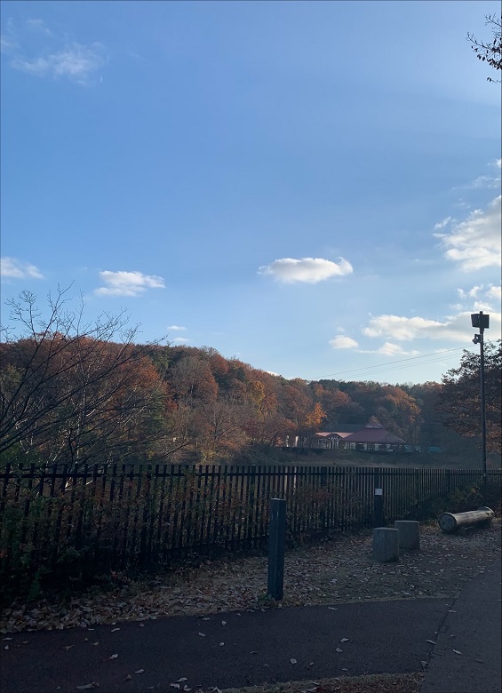 ムーミンバレーパークは自然豊か