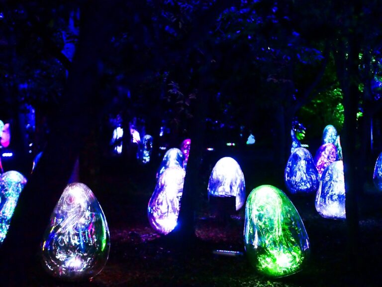 チームラボを大阪で！ボタニカルガーデンの見どころ紹介 | イロハニアート