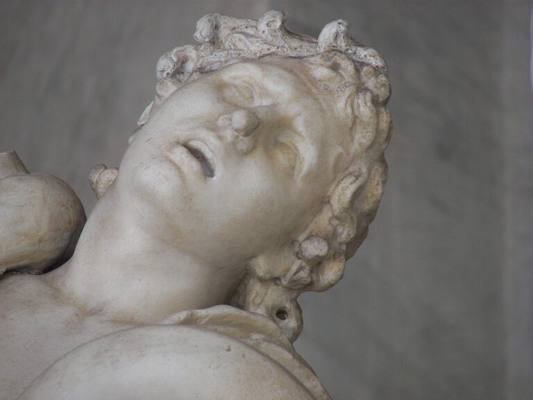 ナポレオン　ラオコーン像の部屋1804年 ブロンズメダル ナポレオン ラオコーン像の部屋1804年 ブロンズメダル - メルカリ