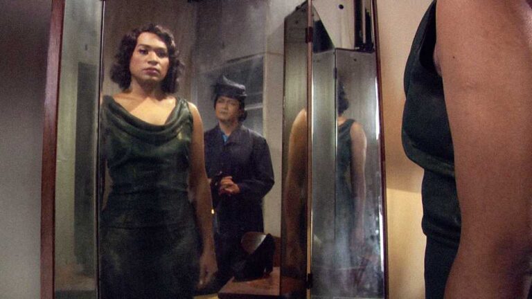 ミン・ウォン作 ライフ・オブ・イミテーショの画像,2009 年　2 チャンネル・ヴィデオ・インスタレーション（HD、カラー、サウンド）