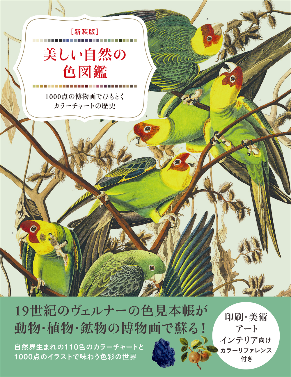 激安　美しいイラストの洋書　鳥の図鑑  超美色彩 おすすめアート本：色彩】 動物・植物・鉱物の博物画で魅せる全