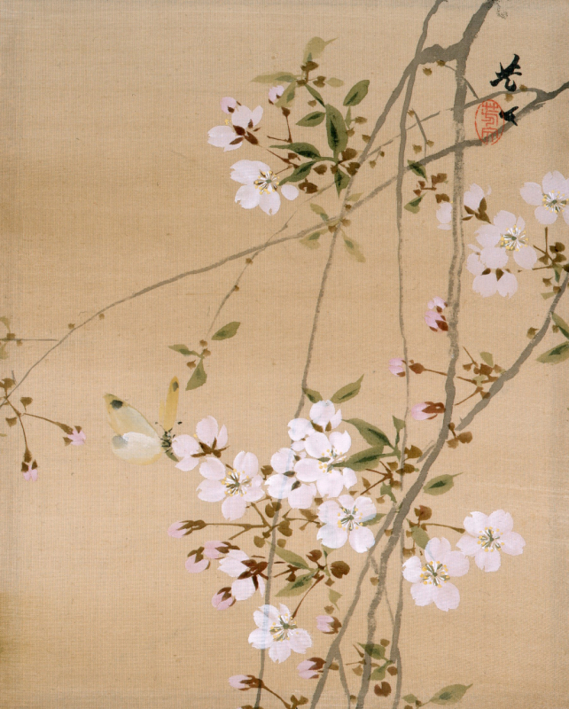 菊池芳文《花鳥十二ヶ月のうち「3月」》　1868-1918年頃（明治-大正時代） 　絹本・彩色　山種美術館
