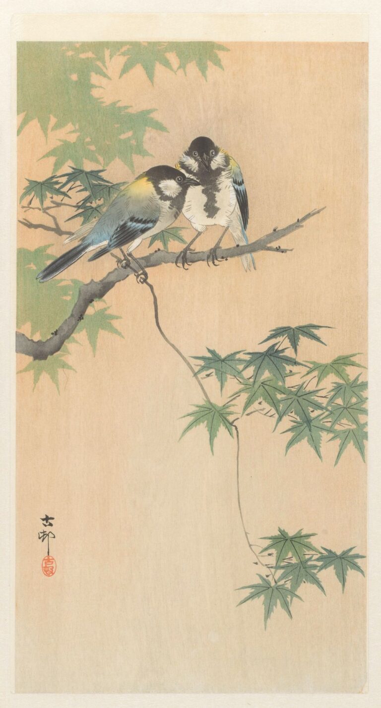 小原古邨】花鳥画で人気が高まる日本画家の生涯と作品の魅力とは