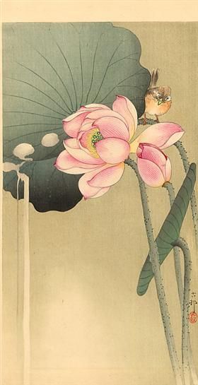 小原古邨】花鳥画で人気が高まる日本画家の生涯と作品の魅力とは