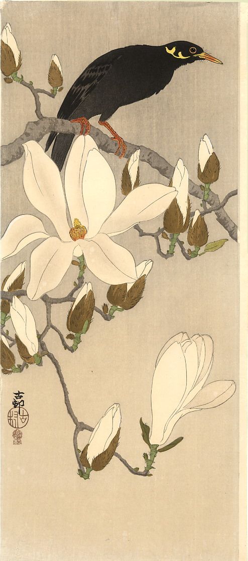 小原古邨】花鳥画で人気が高まる日本画家の生涯と作品の魅力とは