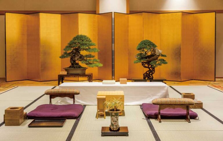 世界の盆栽・水石展　(第5〜10巻　6冊) 世界の盆栽・水石展写真集 第5・6・8・10回 682bb92717bcd.jpg