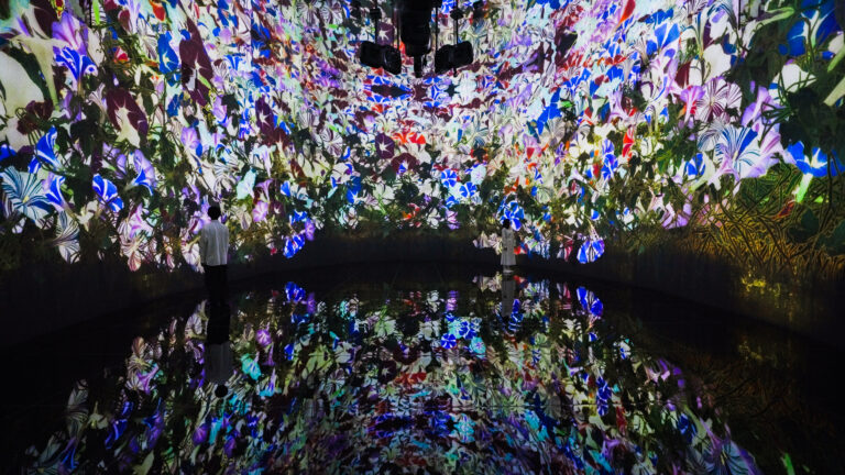 チームラボ《教会跡に増殖する無量の生命 - A Whole Year per Year》©チームラボ