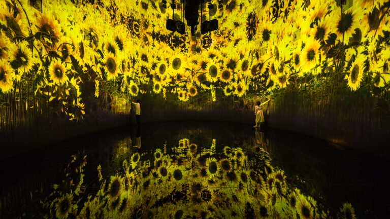 チームラボ《教会跡に増殖する無量の生命 - A Whole Year per Year》©チームラボ