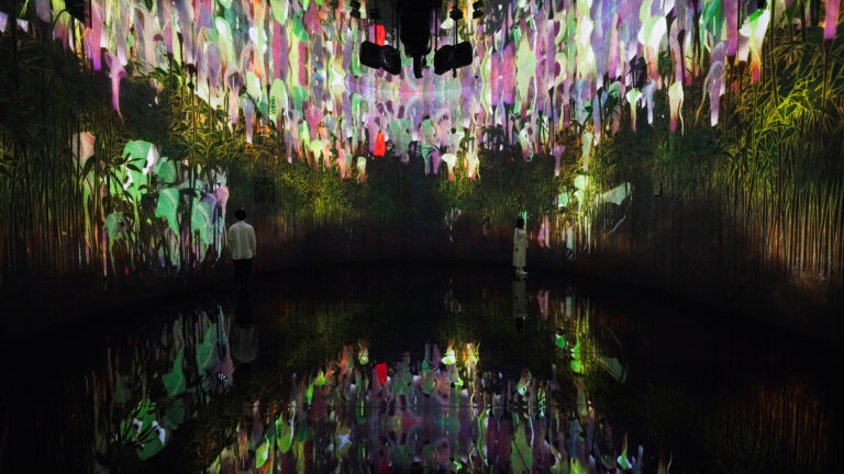 チームラボ《教会跡に増殖する無量の生命 - A Whole Year per Year》©チームラボ