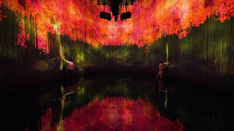 チームラボ《教会跡に増殖する無量の生命 - A Whole Year per Year》©チームラボ