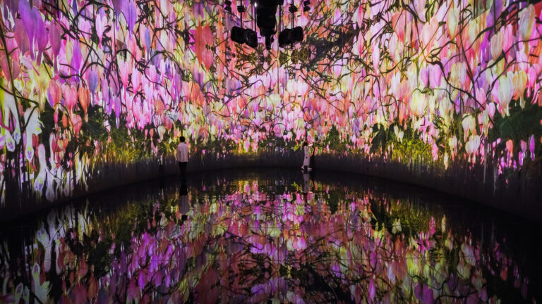 チームラボ《教会跡に増殖する無量の生命 - A Whole Year per Year》©チームラボ