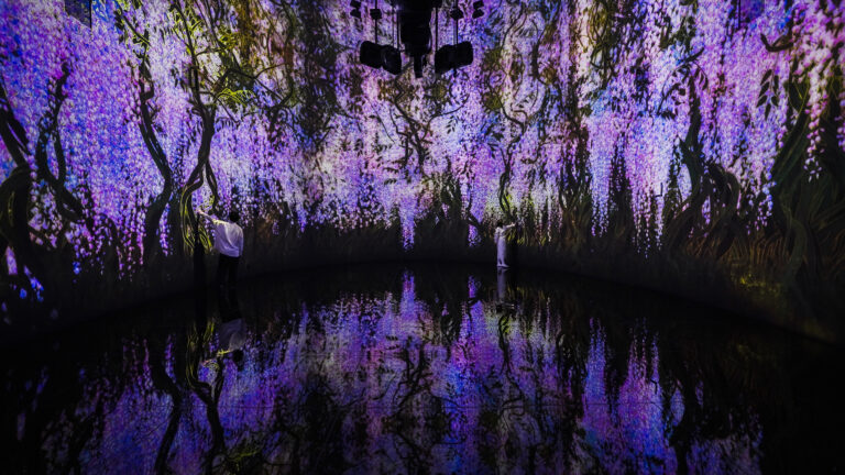 チームラボ《教会跡に増殖する無量の生命 - A Whole Year per Year》©チームラボ