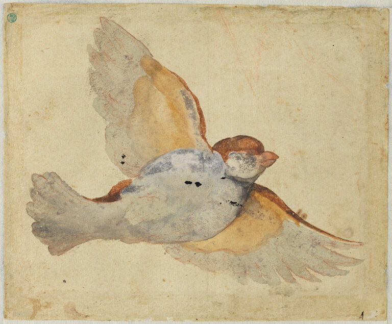 スウェーデン国立美術館 素描コレクション展5
