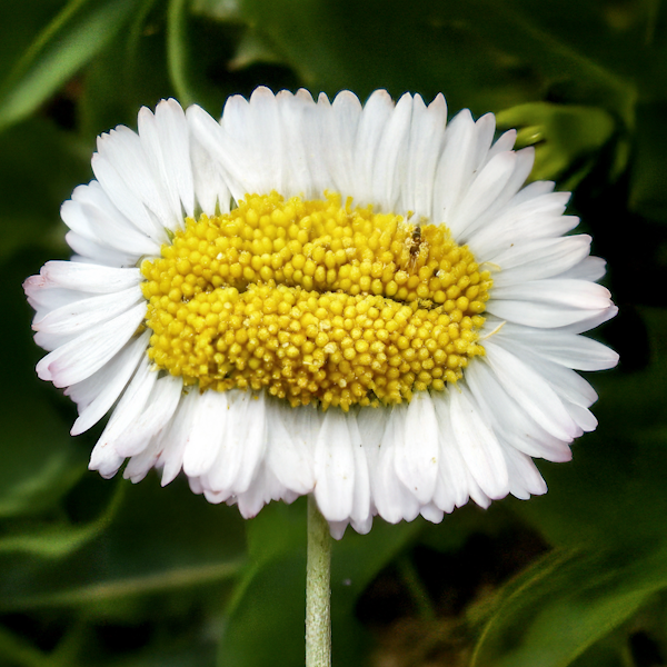 Ⓒ 2025「恐怖心展」実行委員会