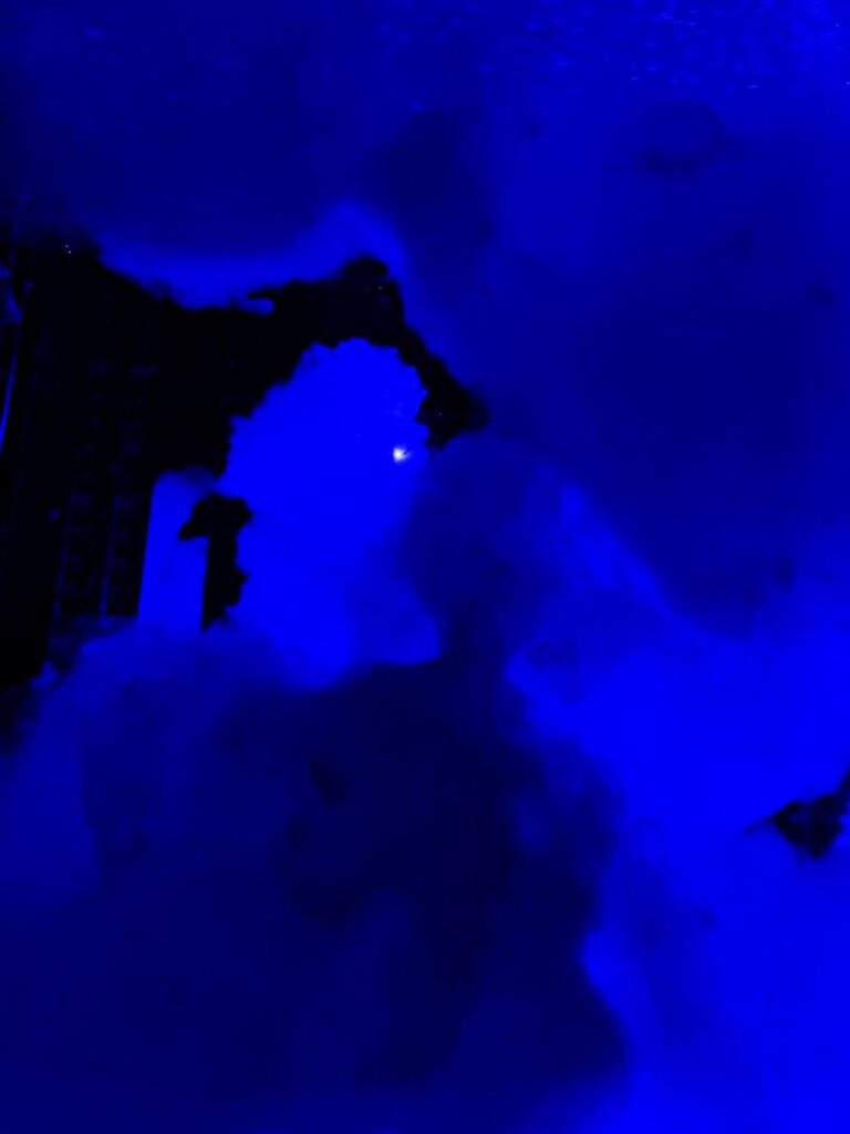 チームラボ01