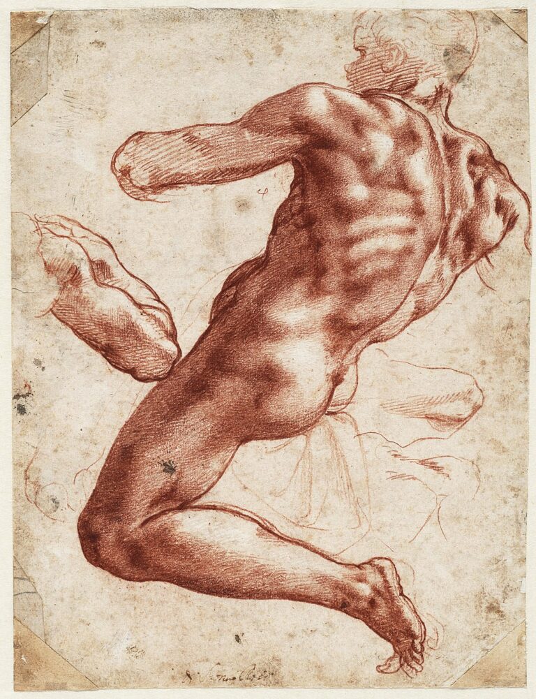 Michelangelo - Study of an Ignudo -Teylers Museum