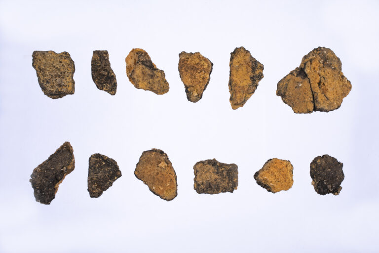 「JOMON ARCHIVES ― 北海道・北東北の縄文遺跡群デジタルアーカイブ ―」収録