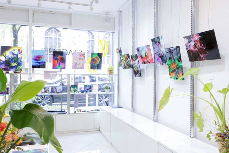 銀座のギャラリーでの展示風景。