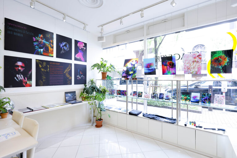 銀座のギャラリーでの展示風景。