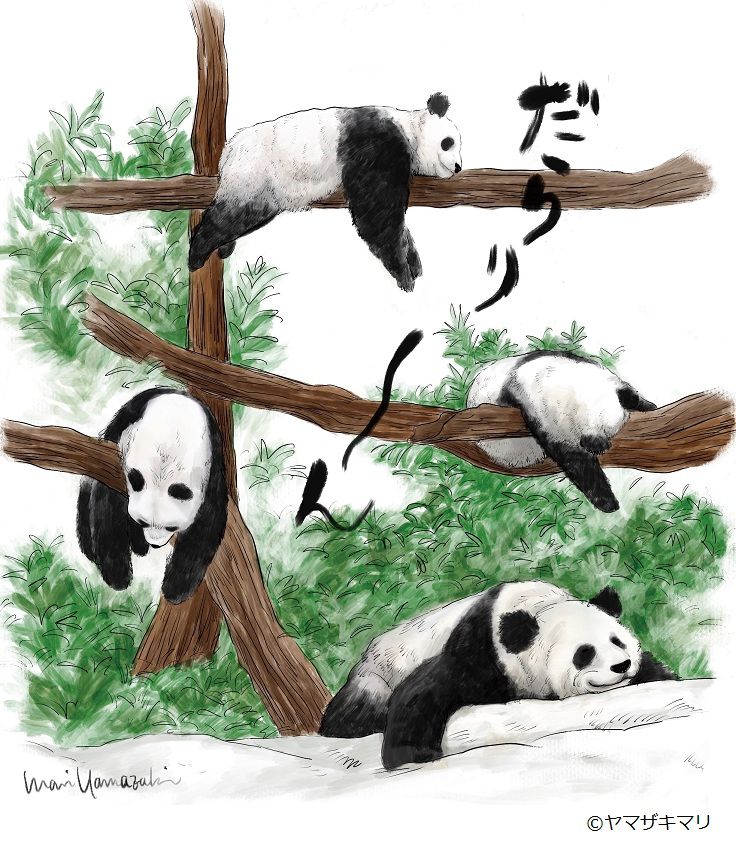 ヤマザキマリ 4