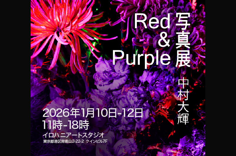 Daiki Nakamuraの個展「Red & Purple」が南青山イロハニアートスタジオにて開催！