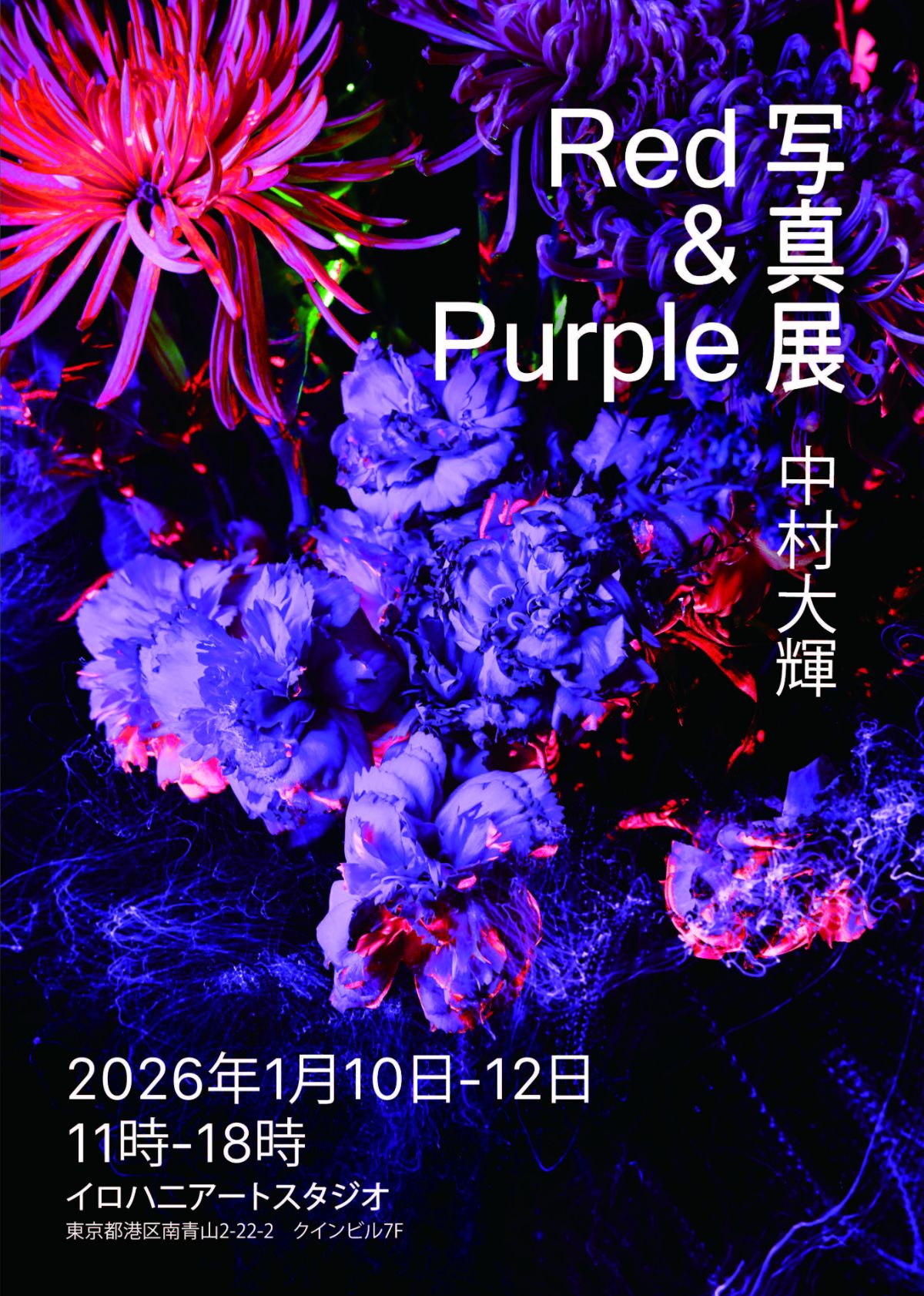 ライトペインティングでアートを創り出す、Daiki Nakamuraの個展「Red