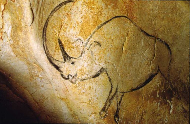 Rhinocéros grotte Chauvet, Public domain, via Wikimedia Commons.