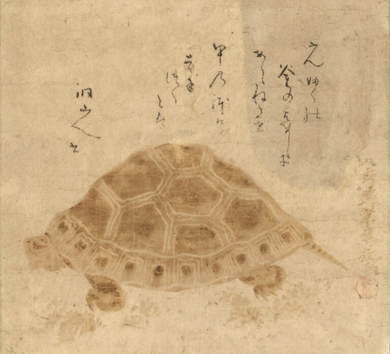 如秀「亀図」江戸時代（18～9世紀）、彌記繪菴