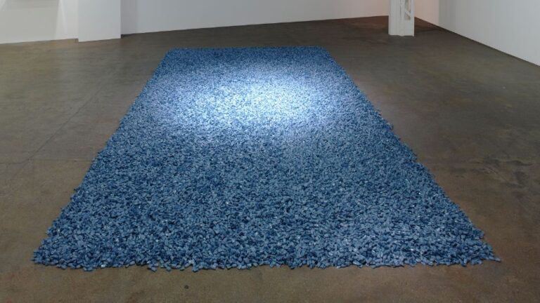 あたらしい目 ― モネと21世紀のアート7