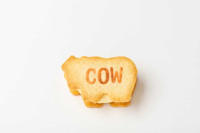 ぱくっとクラシックバニラアイスサンド（COW）
