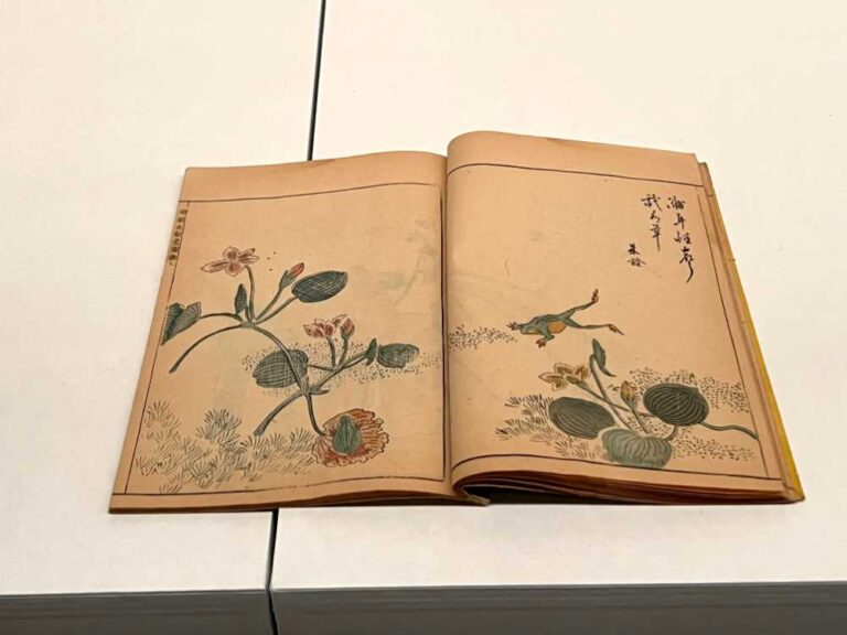 『明朝紫硯』　大岡春卜 画　序刊 1746年　印刷博物館蔵
